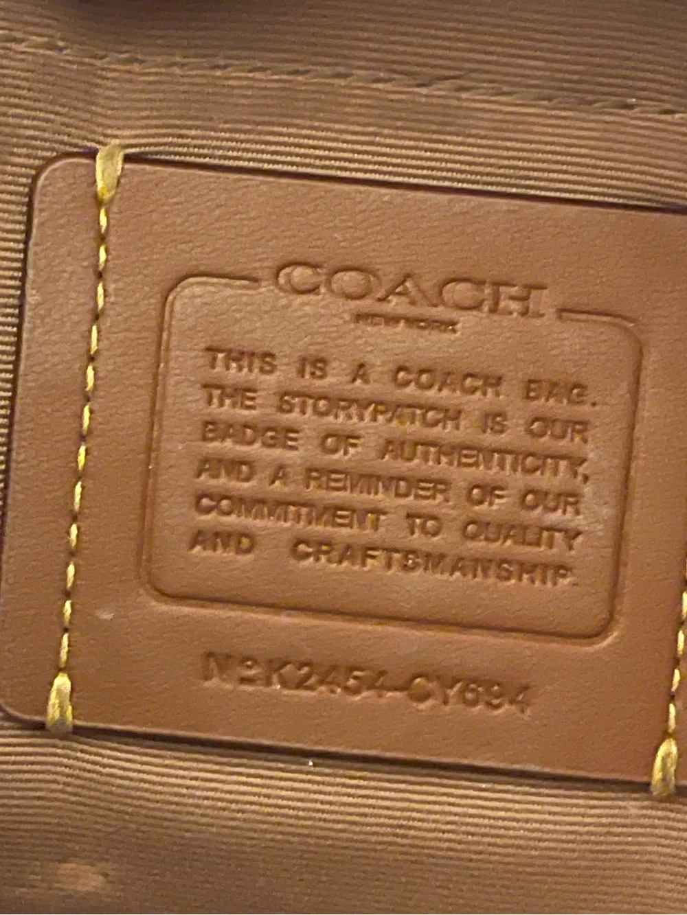Coach Cherry-Print Mini Shoulder Bag in Brown and Red